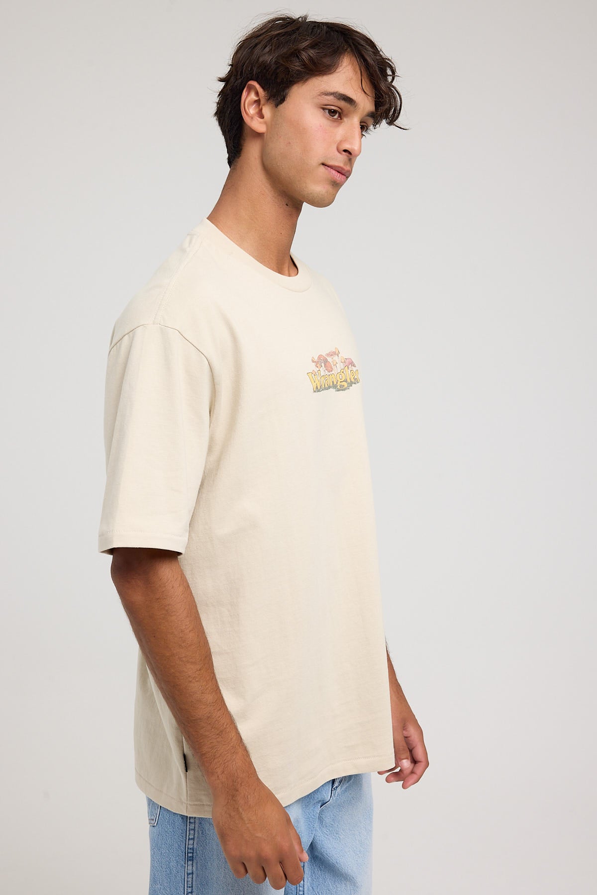 Wrangler Mushroom Slacker Tee Silver Lining