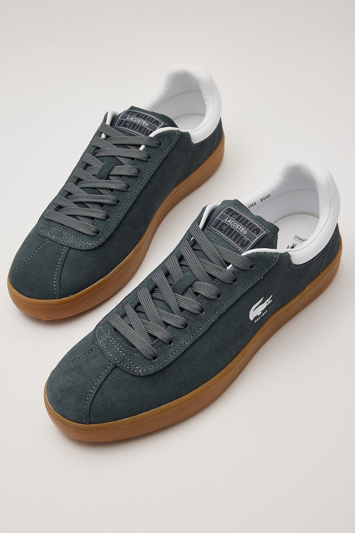 Lacoste Baseshot Dark Grey/Gum