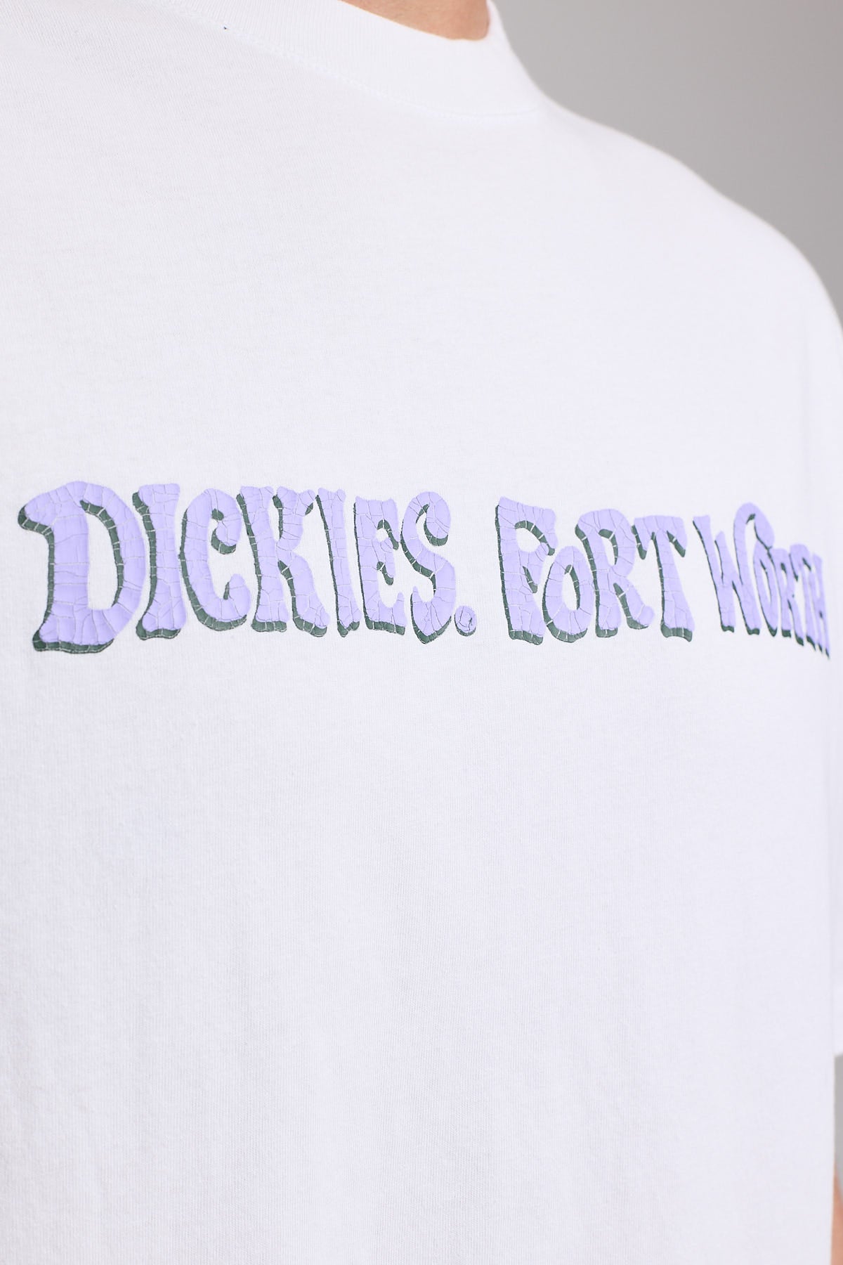 Dickies Big Country 5050 Tee White