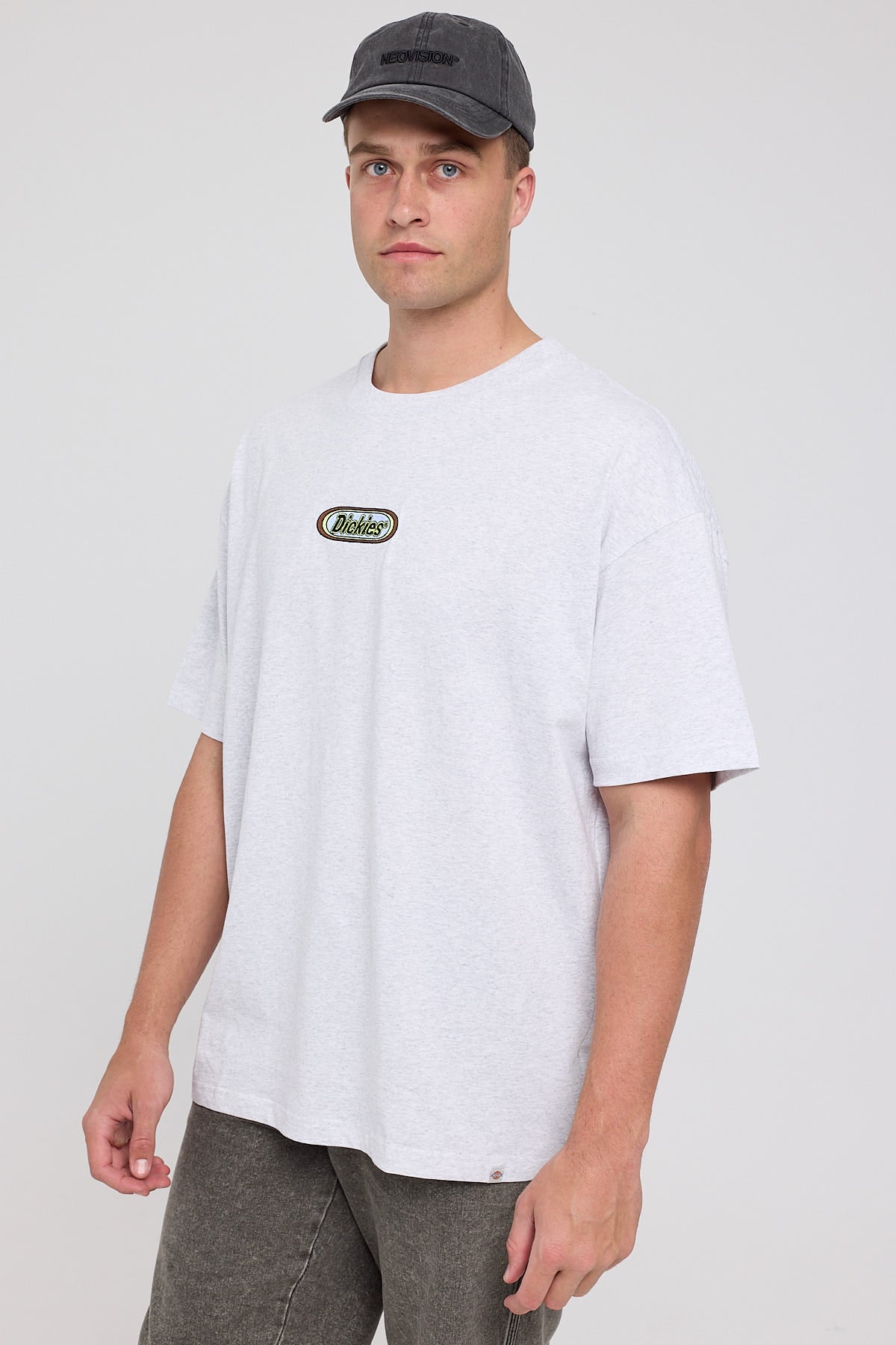 Dickies Black Pill 330 Tee Ash Grey