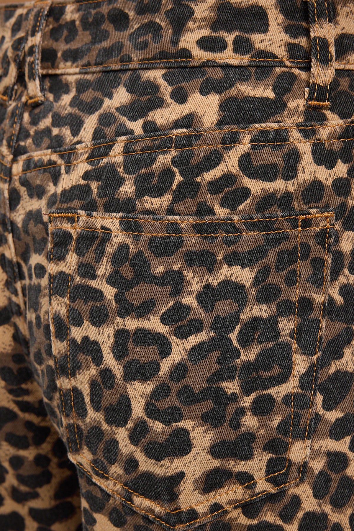 Lioness Top Model Jean Leopard