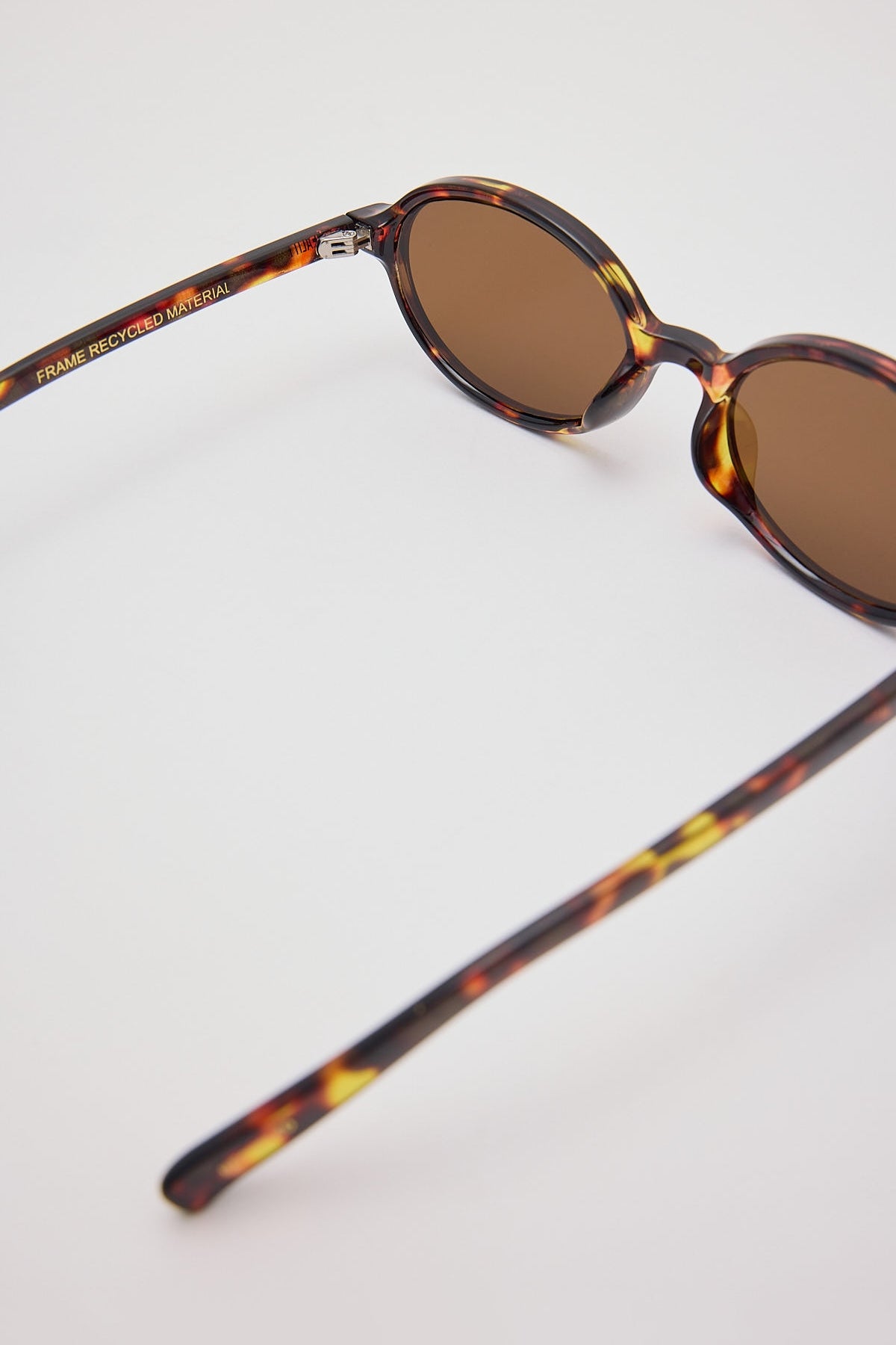 Reality Eyewear The Bessette Turtle/Brown Lens